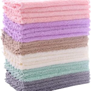 24 Pack Kitchen Dishcloths