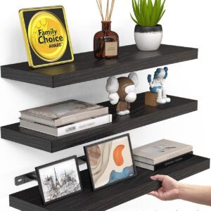 BAYKA Floating Shelves for Wall