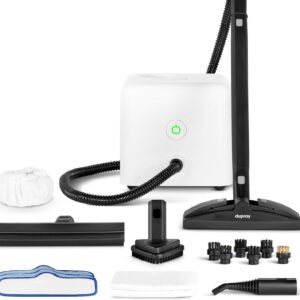 Dupray Neat Steam Cleaner with 17-Piece Kit