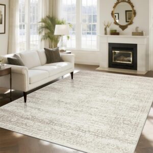 Area Rugs for Living Room