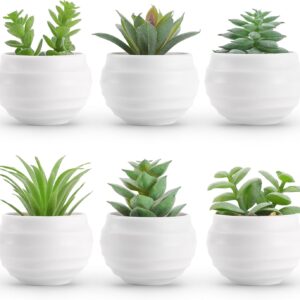Der Rose Set of 6 Succulents Plants Artificial